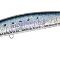 Genkai Sardine