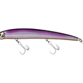 Purple Orange Belly