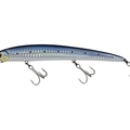 Blue Sarda
