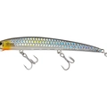 SP 529 SIlver Ghost Scales