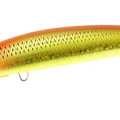 Hyper Orange Mullet