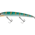 Anchovy Orange Striped