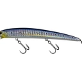 Blue Sarda