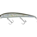 Silver Bait