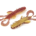 Heartworm