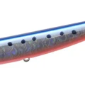Uroko Mazume Sardine