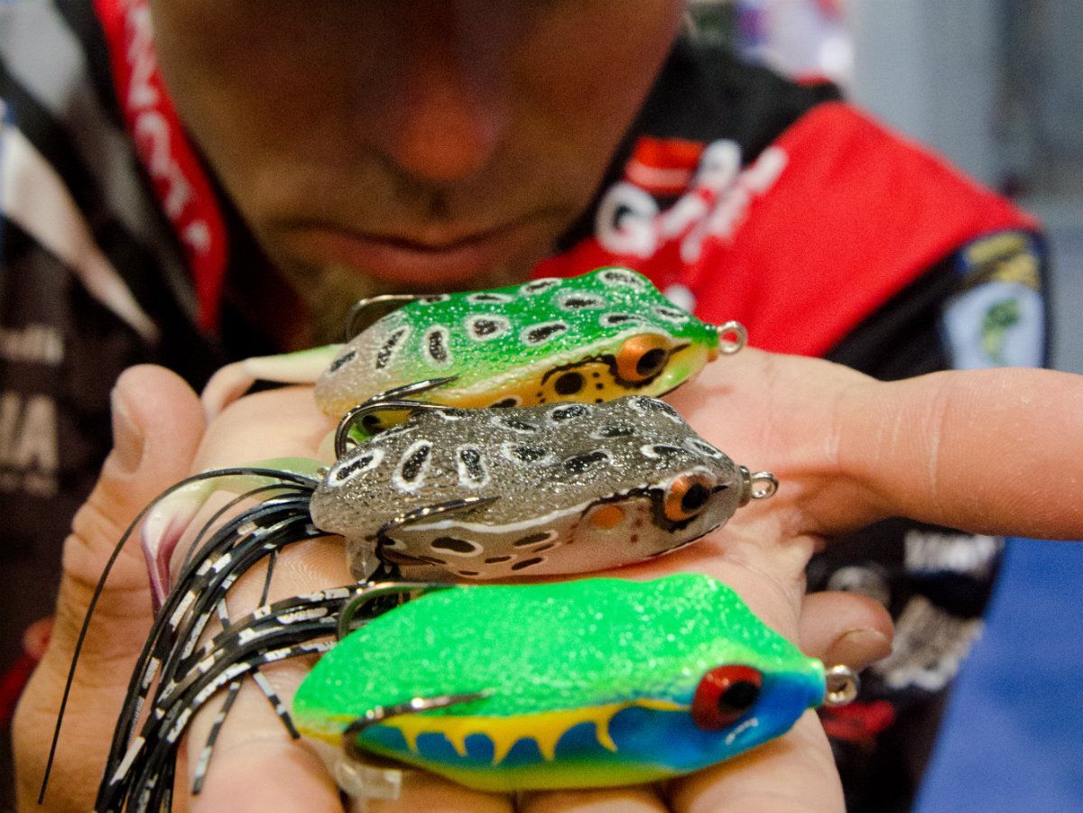 Molix Frog