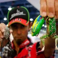 Iaconelli Frog 01