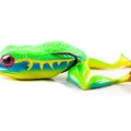 Rainforest Frog Legs