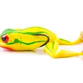 Chart Frog Legs