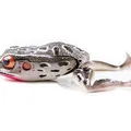 Grey Frog Legs