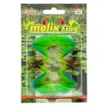 Legs 92 Rainforest Frog