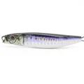 #13 UV Ocean Sardine+RP