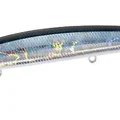 Shakotan Sardine