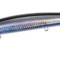 Real Anchovy