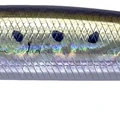 Sardine Noir