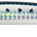 Sardine