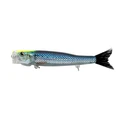 #06 CHART HEAD SCALE IWASHI GLOW BELLY