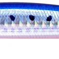 Mazume Sardine
