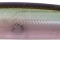 Ghost Aji