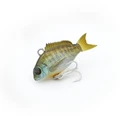 #05 BLUE GILL