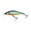 #07 TS ORANGE BELLY / HALF GILL COVER