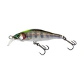 #09 CHART HEAD AMAGO / HALF GILL COVER