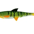 pike shad PS01 perch