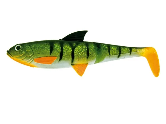 Molix 5.5″ Pike Shad
