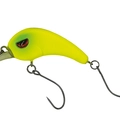 Giallo Testa Verde