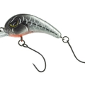 Ghost Silver Stripe