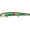 Mx rainbow