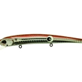 Mx squid