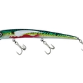 Bloody Green Mackerel