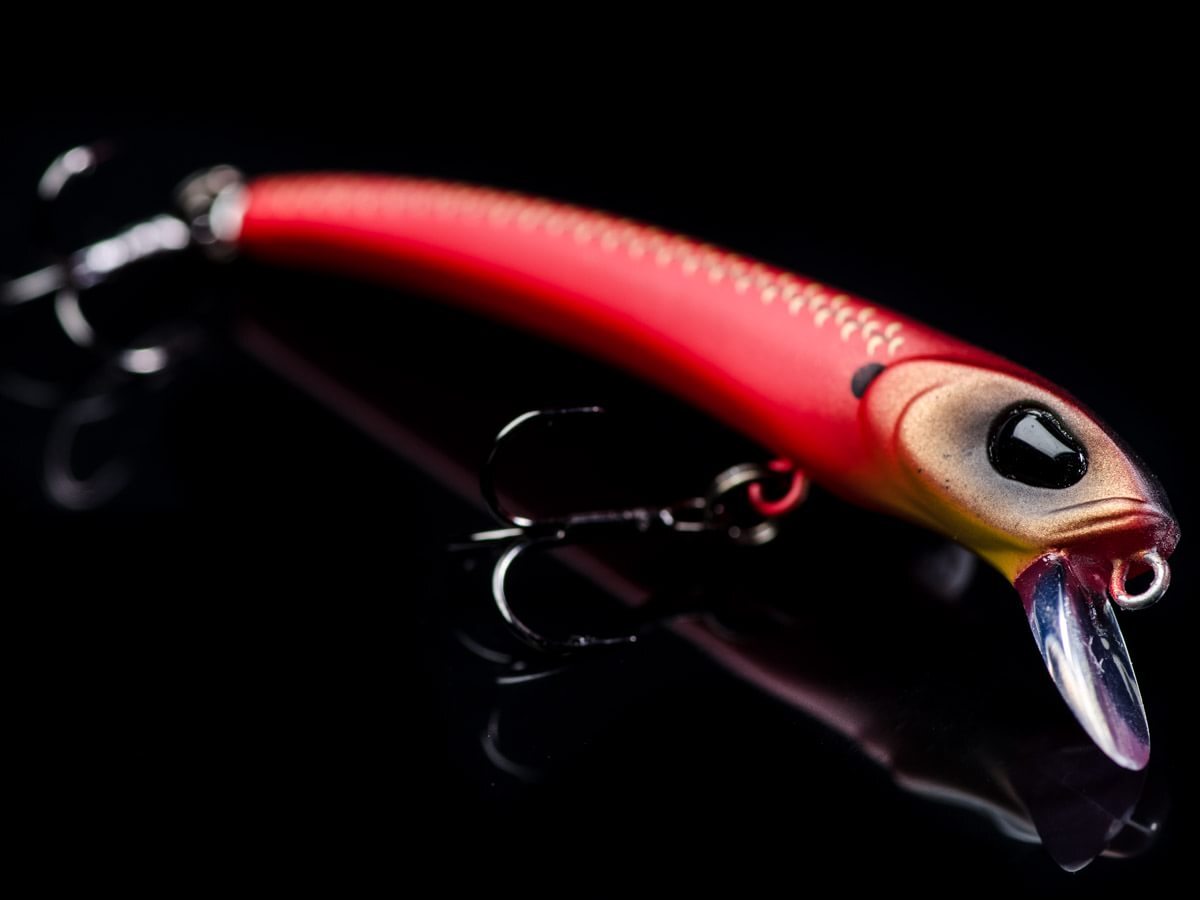 Molix Audace 55 suspending