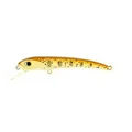 #143 Brown Trout Min