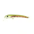 #144 Rainbow Trout Min