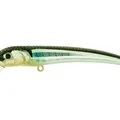 Mx Holo Shad