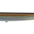 Flashy Mullet