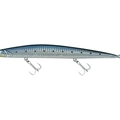 Blue Sarda