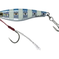 Blue Zebra Sarda