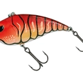 Mud Craw