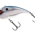 Chrome Blue Back