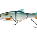 Treadfin Shad