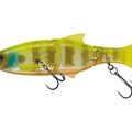 White Gill Orange Belly