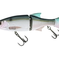 Threadfin Shad