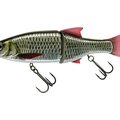 Live Carp
