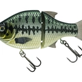 Baby Bass