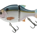 Threadfin Shad