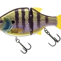 MX Blue Gill
